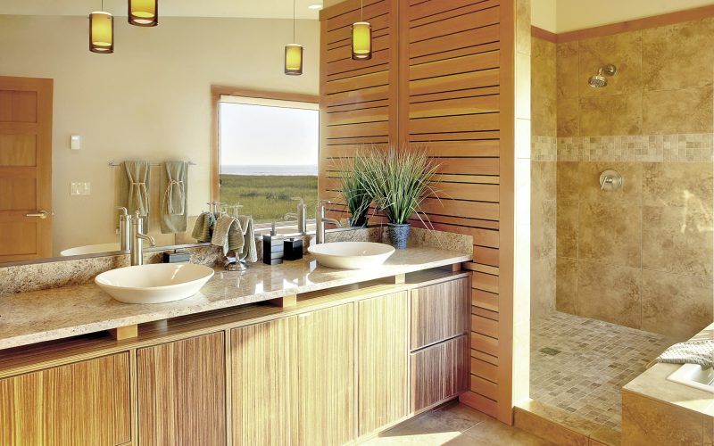 Shower and sinks in modern bathroom
